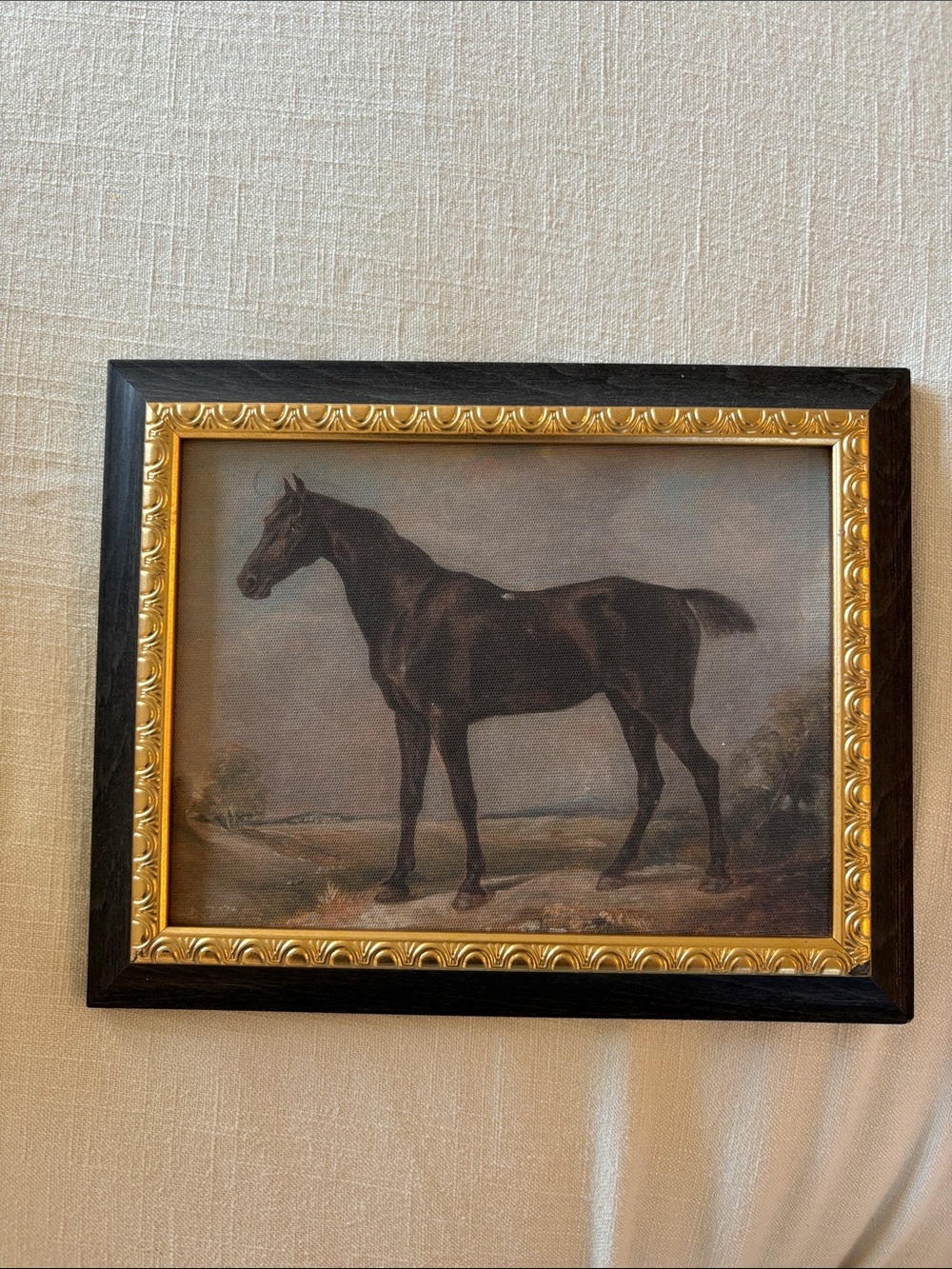 Threshold Studio McGee Horse Print